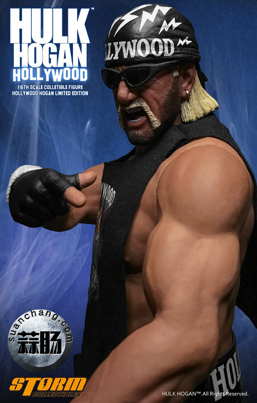 Storm toys 摔角手 - 胡克·霍根Hulk Hogan 好萊塢版即將來襲