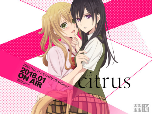 冬季番還有百合！ TV動(dòng)畫《citrus》確定明年1月6日首播