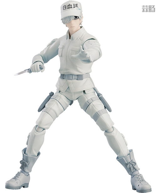 MaxFactory推出《工作細胞》白細胞Figma