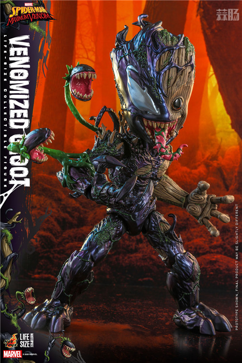 HotToys推出《蜘蛛俠：最大毒液》毒液化格魯特1:1人偶